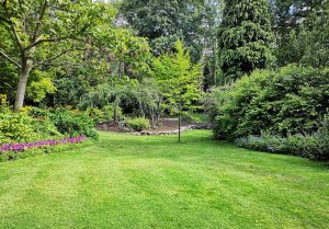 Optimiser l'expérience du jardin à Saint-Hilaire-la-Croix